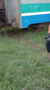 Trem do ramal Guapimirim descarrila novamente Trem do ramal Guapimirim descarrila novamente
