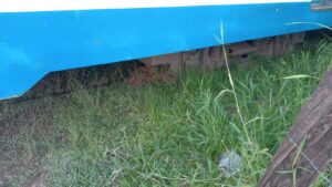 Trem do ramal Guapimirim descarrila novamente Trem do ramal Guapimirim descarrila novamente