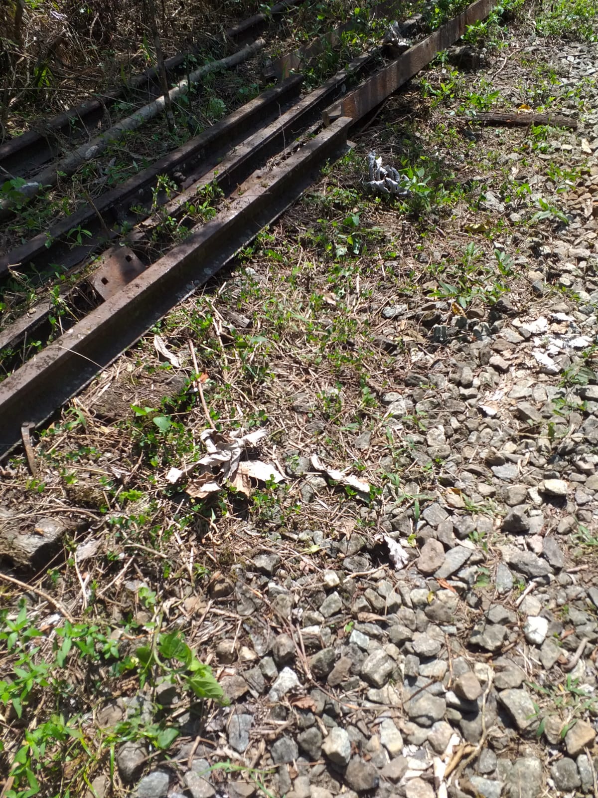 Flagrante de remoção de via permanente em Angra dos Reis