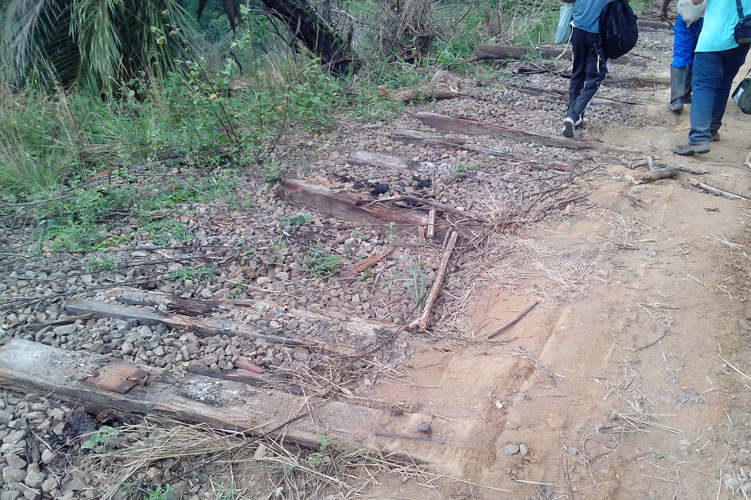 IMG_20151101_150926-scaled