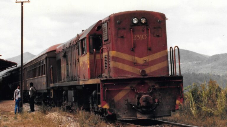 O motivo do fracasso das ferrovias no Brasil (6) — Os egressos da RFFSA no futuro das ferrovias