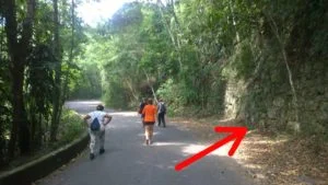 Secretário de Transporte faz viagem de vistoria na Supervia