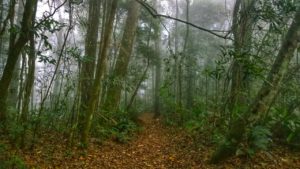 Chuva forte interrompe tráfego da MRS em Paracambi