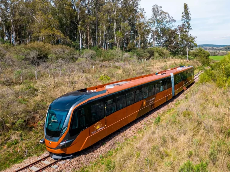Trem em movimento sobre trilhos e árvores ao fundo O conteúdo gerado por IA pode estar incorreto.