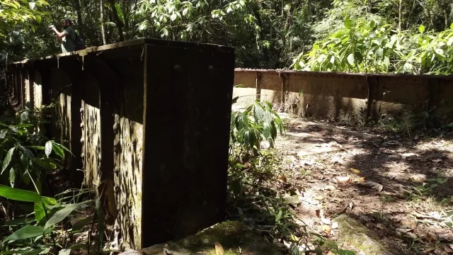 Uma das várias pontes da extinta EF Cantagalo, dentro do Parque dos Três Picos, entre Cachoeiras de Macacu e Nova Friburgo.