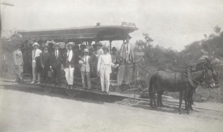 Carnavalesco apresenta exposição em trem da Supervia