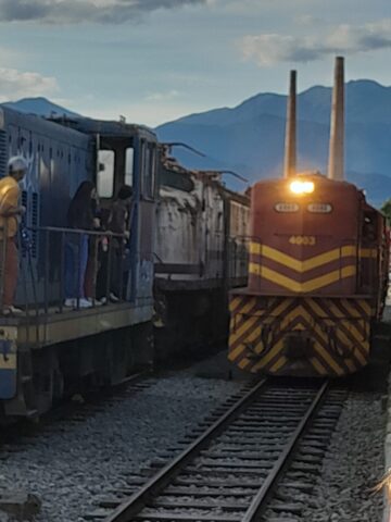 WhatsApp Image 2025 07 05 at 16.00.13