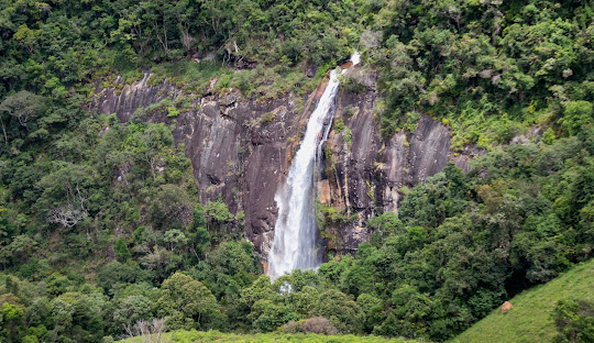 Cachoeira em meio à vegetação Descrição gerada automaticamente