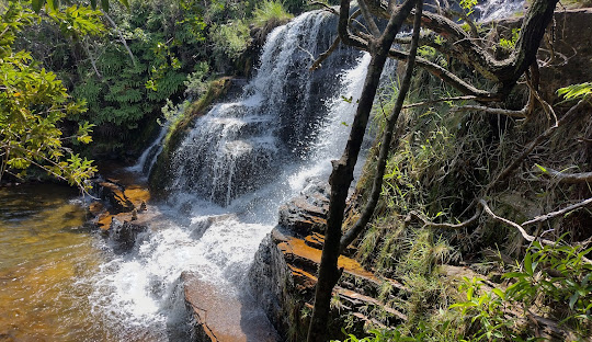 Cachoeira no meio de uma floresta Descrição gerada automaticamente