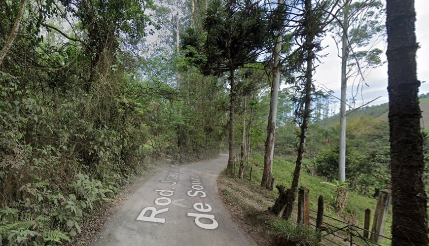 Caminho de terra no meio da floresta Descrição gerada automaticamente com confiança média