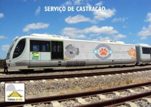 VLT Serviço de Castração