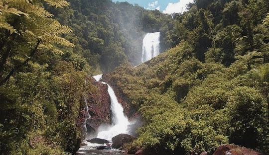 Montanha com árvores Descrição gerada automaticamente