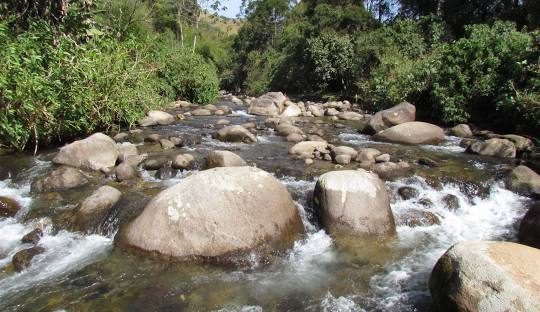 Rio com pedras Descrição gerada automaticamente