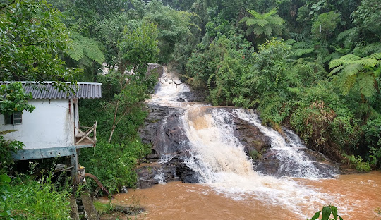Rio com pedras e árvores ao fundo Descrição gerada automaticamente