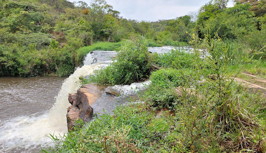 Rio com pedras e vegetação ao fundo Descrição gerada automaticamente