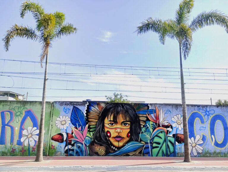 Muros da Supervia rendem recorde e moção por iniciativa cultural na Baixada Fluminense