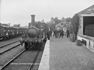 Fonte: Twisted Limbs & Crooked Branches (Facebook)