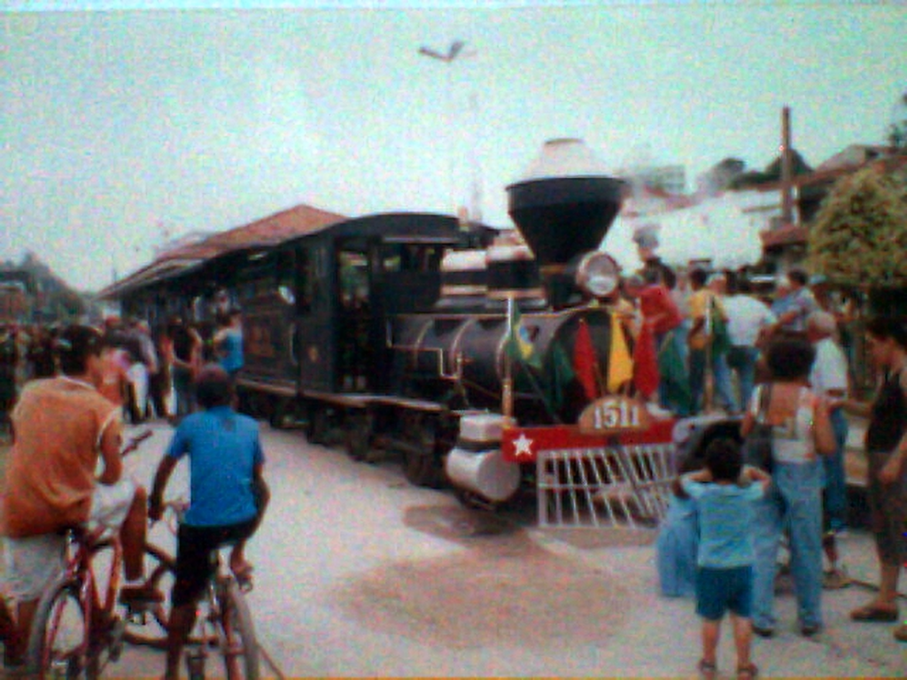 123337290 3231261276997414 6432744451241980091 n