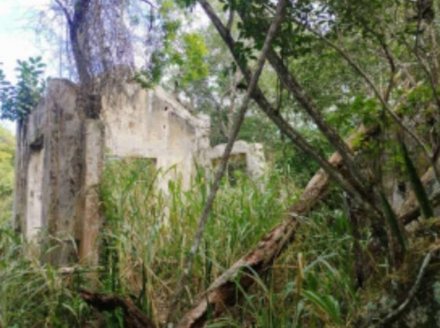 Captura de tela 4 1 2026 101637