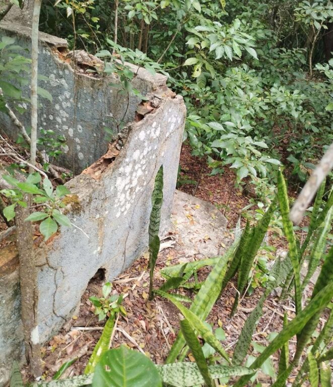 Captura de tela 4 1 2026 101825