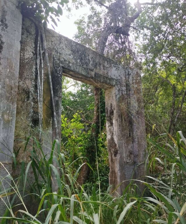 Captura de tela 4 1 2026 10183