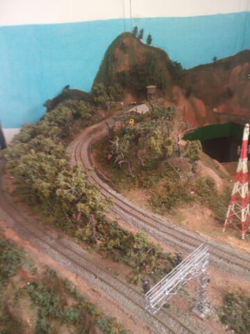 IMG_20230624_151002_556