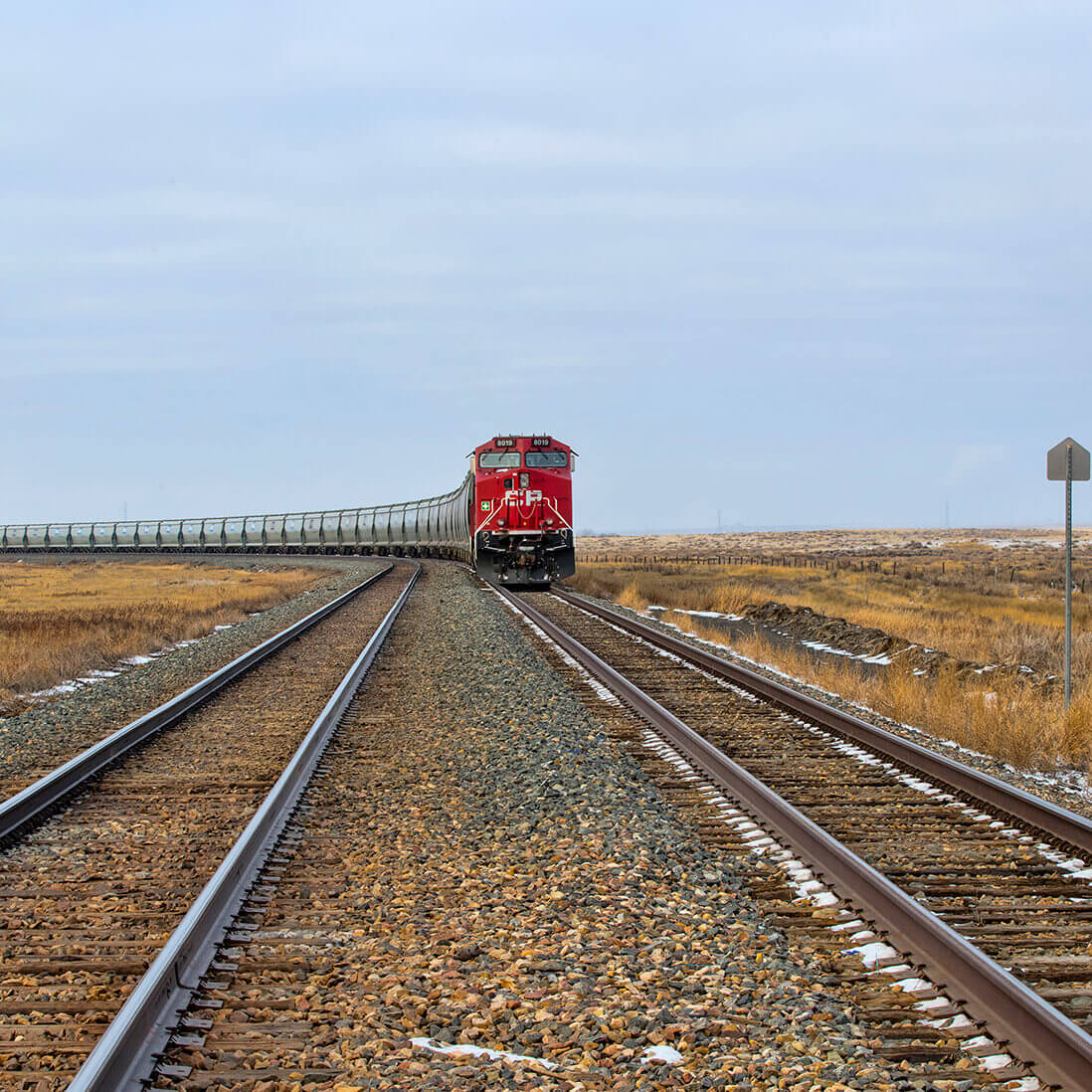 Empresa mira ferrovias e infraestrutura no Brasil, incluindo a EF-118