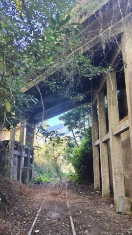 IPHAR realiza a Travessia Tropeira, atividade de pesquisa que desbrava a história da região de Angra dos Reis IPHAR realiza a Travessia Tropeira, atividade de pesquisa que desbrava a história da região de Angra dos Reis