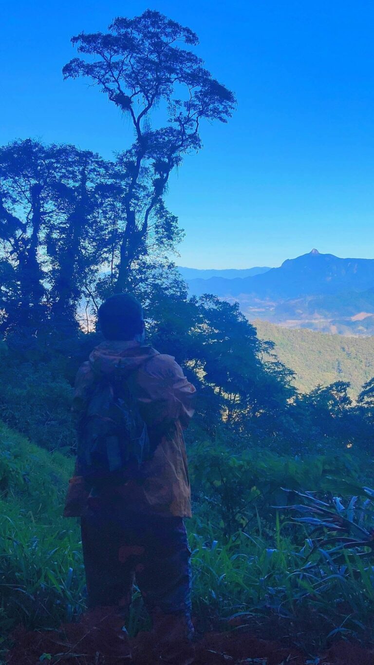 IPHAR realiza a Travessia Tropeira, atividade de pesquisa que desbrava a história da região de Angra dos Reis