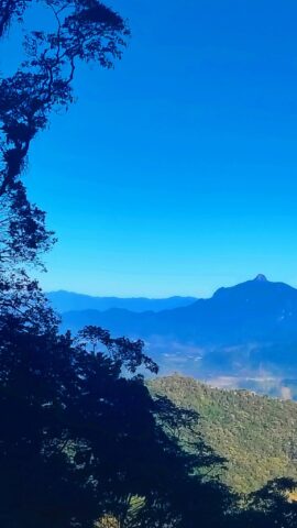IPHAR realiza a Travessia Tropeira, atividade de pesquisa que desbrava a história da região de Angra dos Reis IPHAR realiza a Travessia Tropeira, atividade de pesquisa que desbrava a história da região de Angra dos Reis