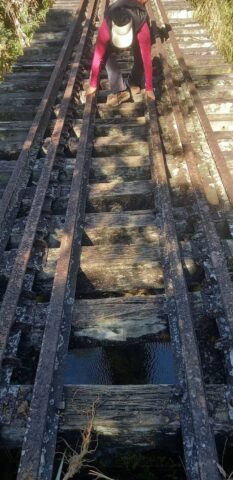 IPHAR realiza a Travessia Tropeira, atividade de pesquisa que desbrava a história da região de Angra dos Reis IPHAR realiza a Travessia Tropeira, atividade de pesquisa que desbrava a história da região de Angra dos Reis